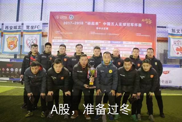 A股,准备过冬